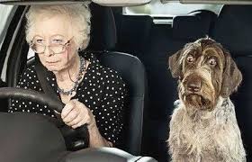 elderly drivers 4